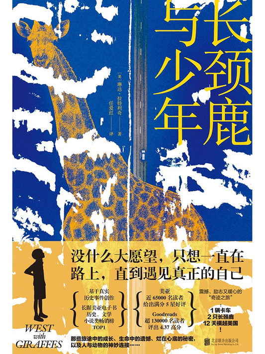 长颈鹿与少年