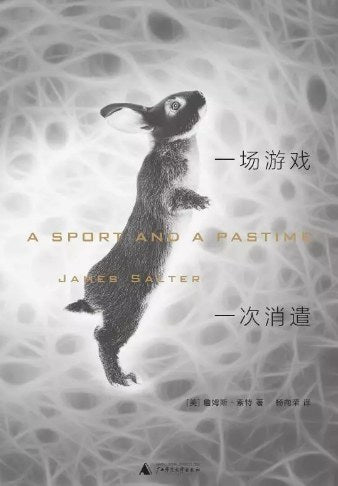 詹姆斯 索特作品.一场游戏一次消遣