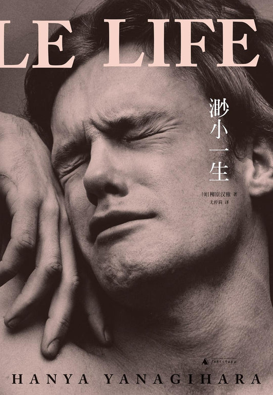 渺小一生 (上下)