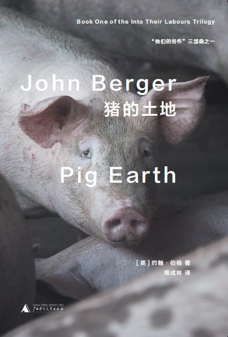 豬的土地
