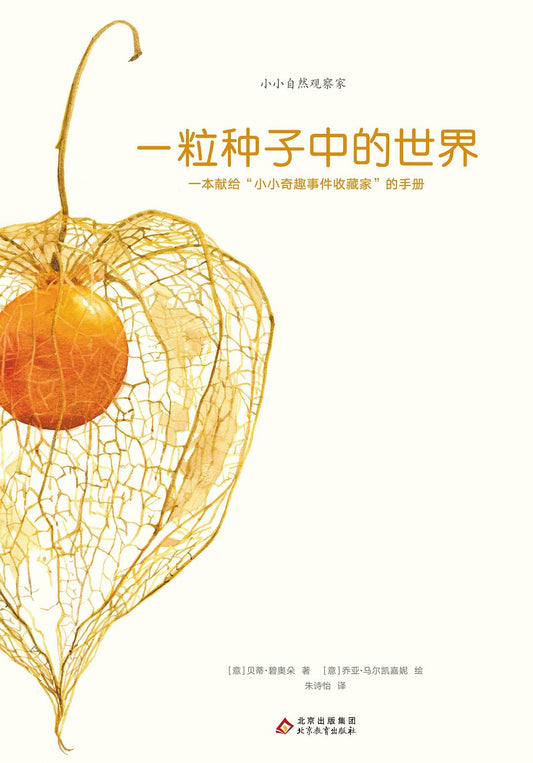 小小自然观察家：一粒种子的世界