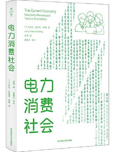 电力消费社会