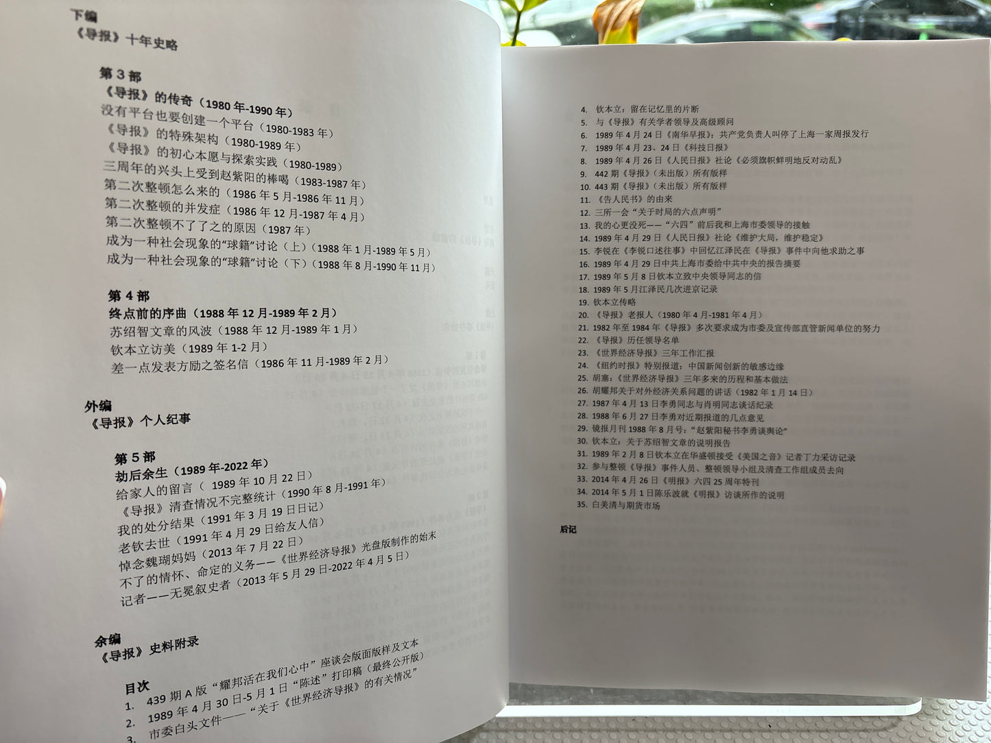 在劫-《世界经济导报》史录