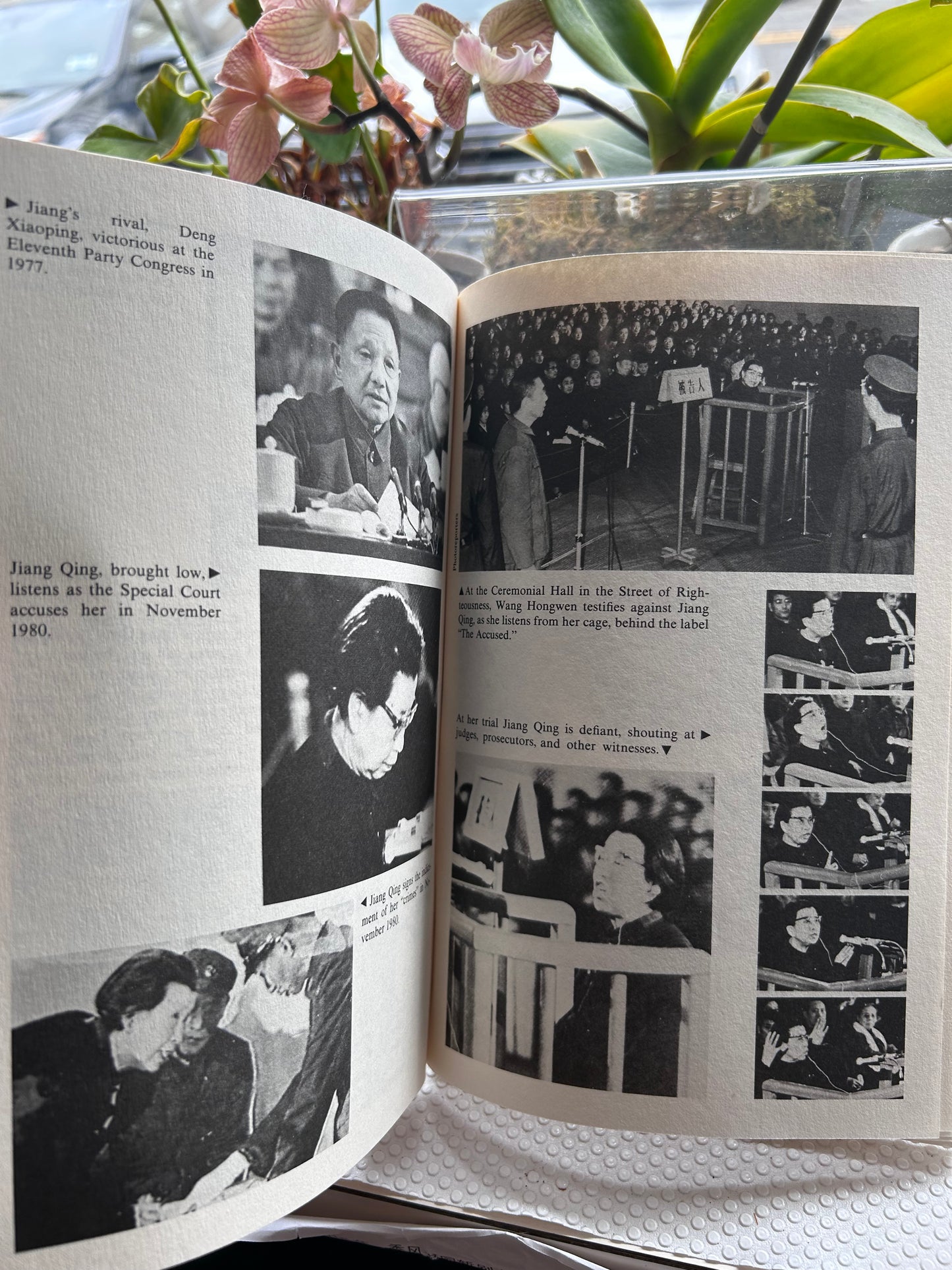 1984年首版《白骨妖精：毛澤東夫人傳》（江青傳）羅斯·特里爾著 The White-Boned Demon: A Biography of Madame Mao Zedong by Ross Terrill, 1984 First Edition