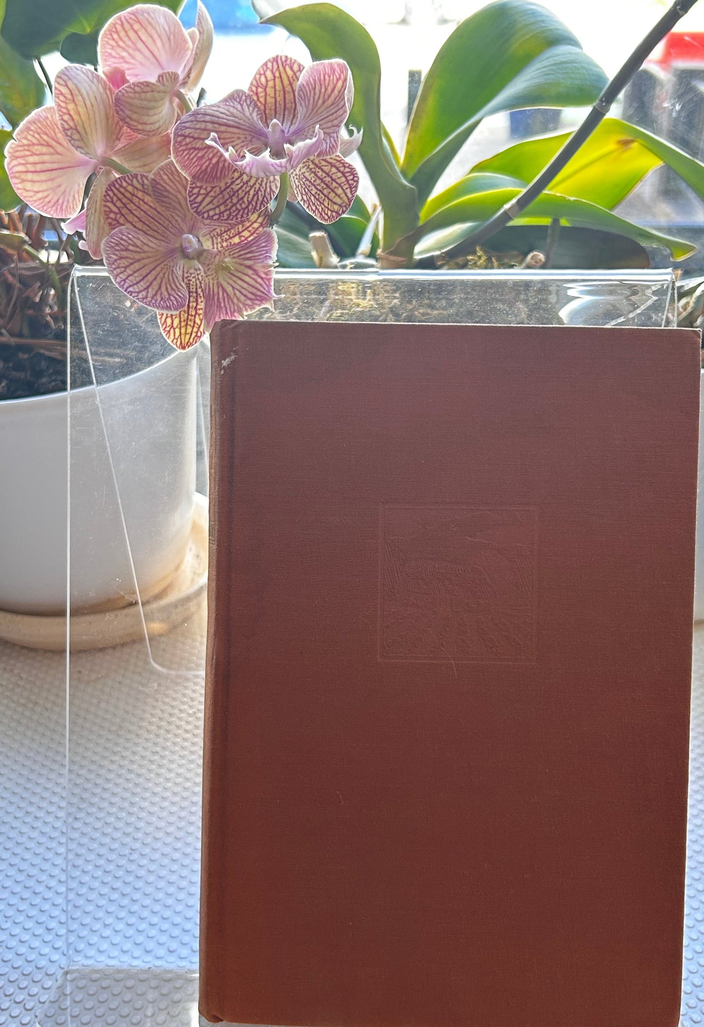賽珍珠珍稀John Day五冊套裝 Pearl S. Buck Collection: A Rare 5-Volume "John Day"