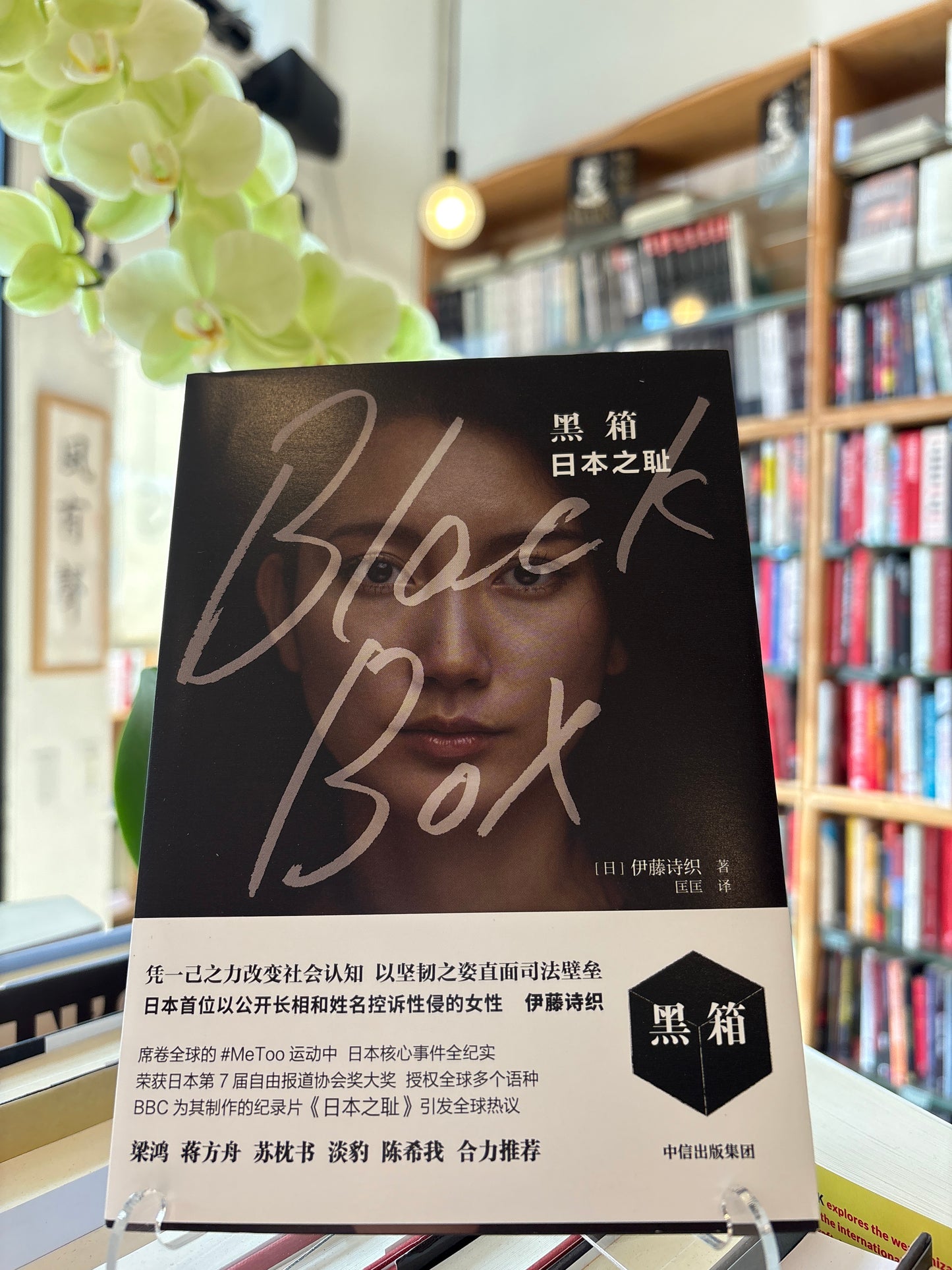 Black Box: The Shame of Japan