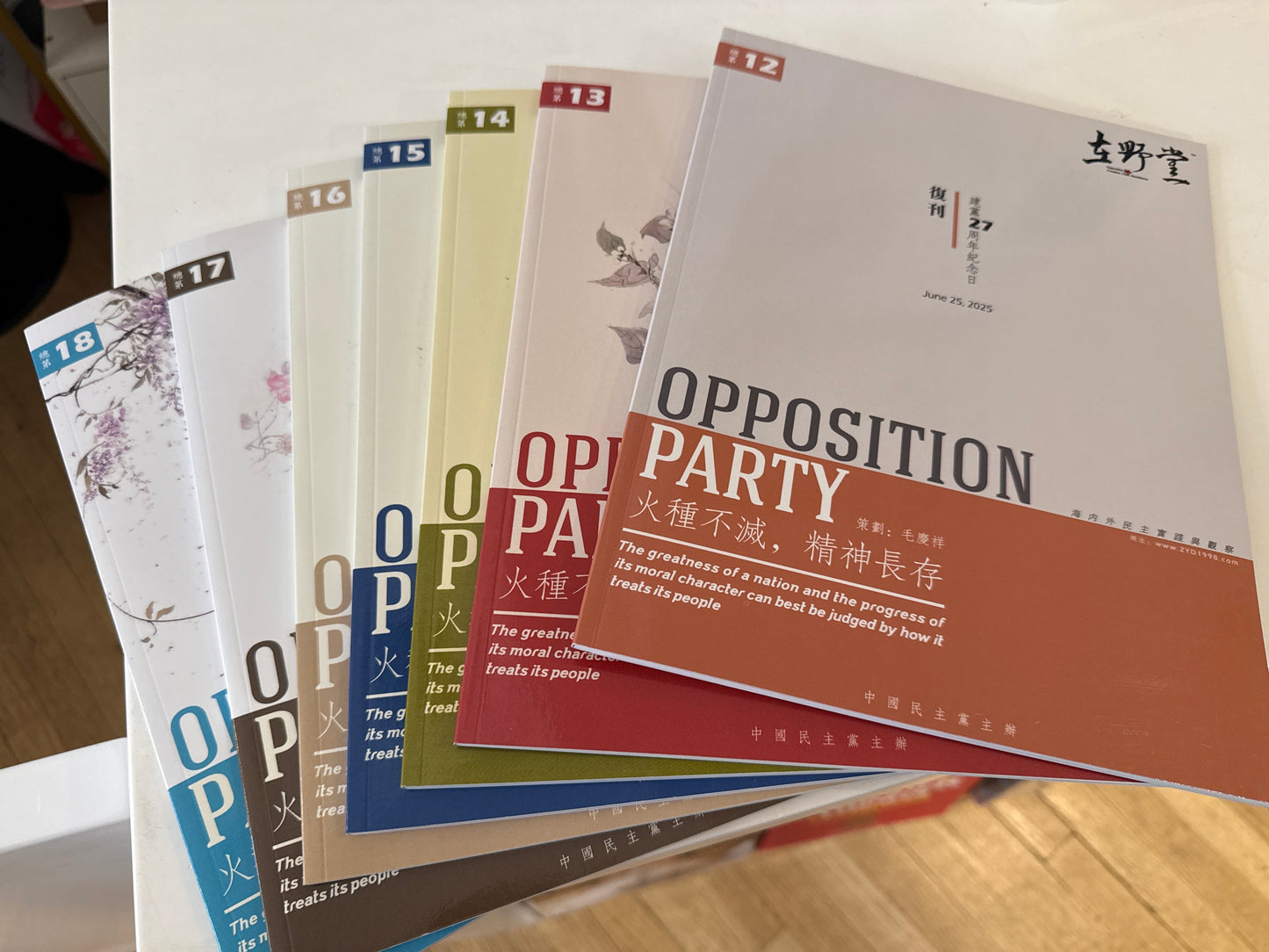 Opposition Party