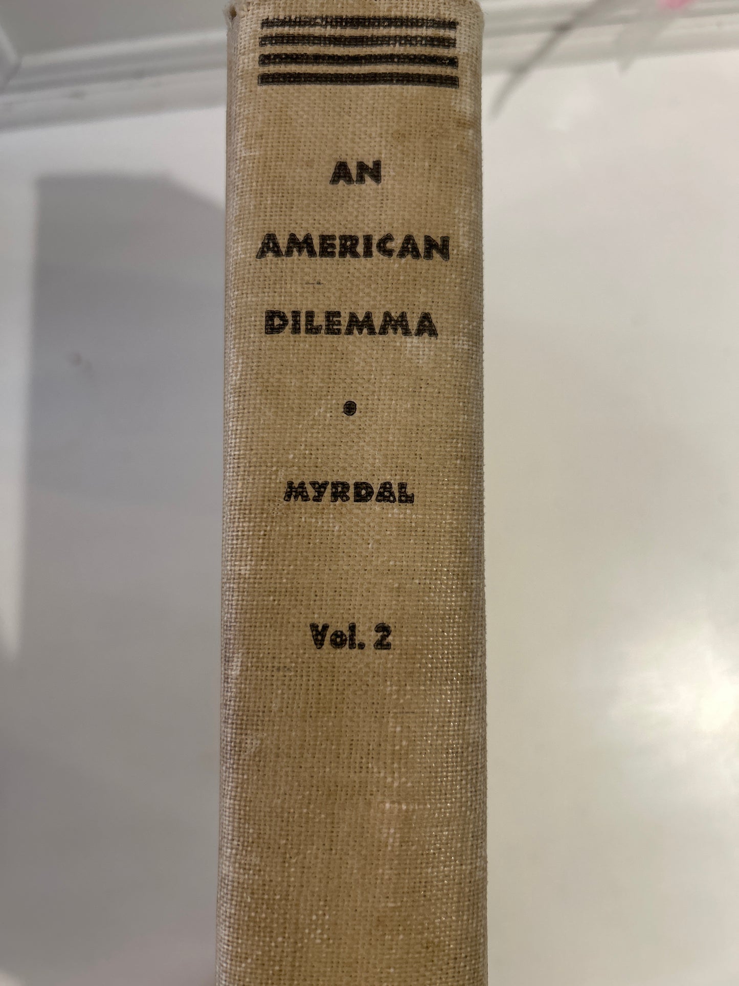 An American Dilemma (Volume 2)