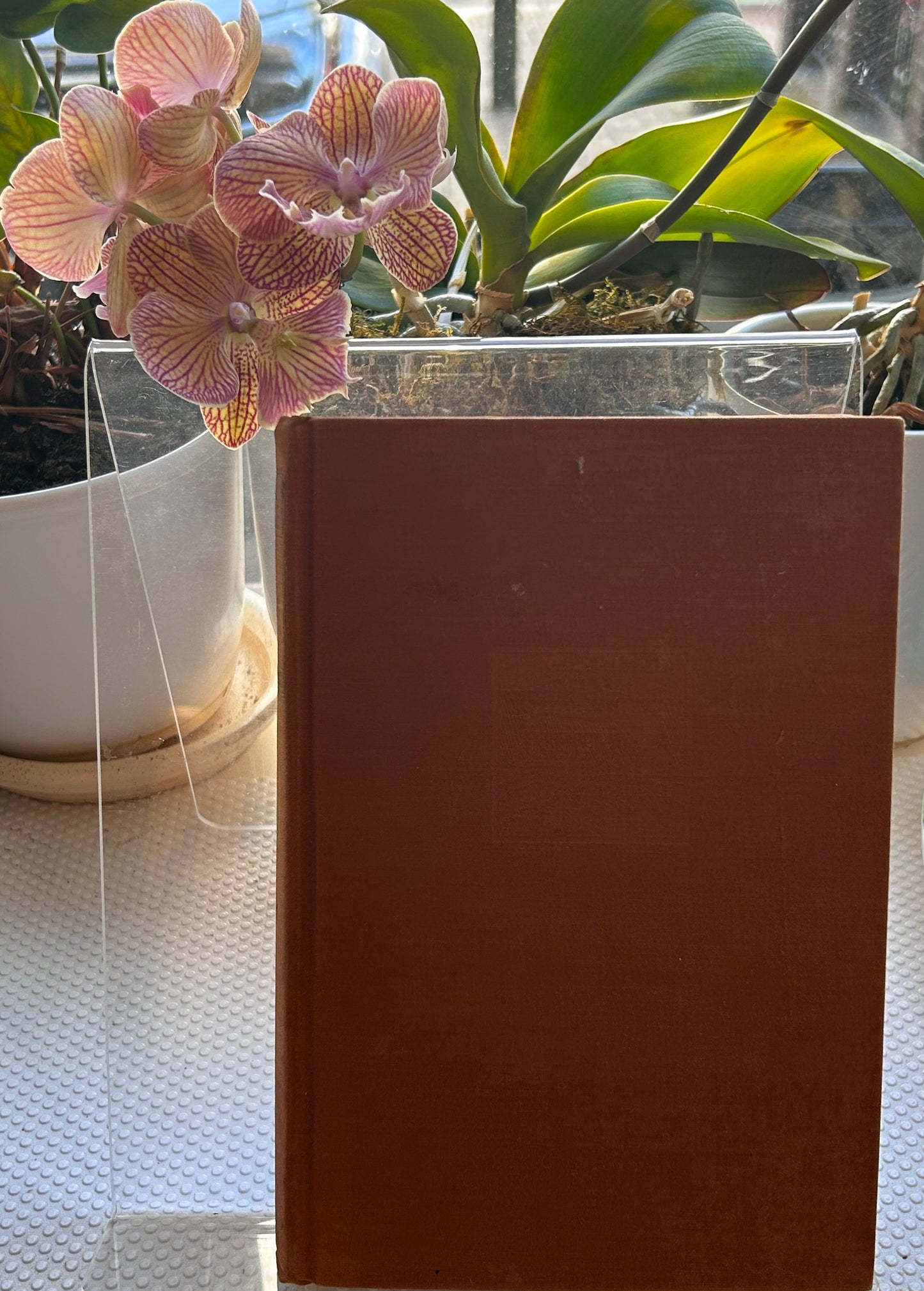 賽珍珠珍稀John Day五冊套裝 Pearl S. Buck Collection: A Rare 5-Volume "John Day"
