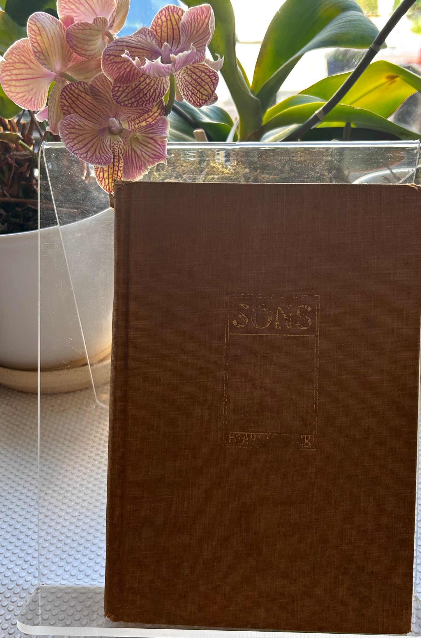 賽珍珠珍稀John Day五冊套裝 Pearl S. Buck Collection: A Rare 5-Volume "John Day"