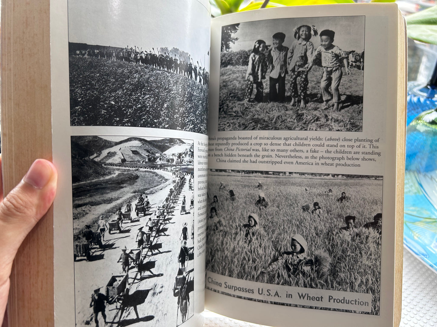 1997年版《餓鬼：中國的秘密大饑荒》賈斯柏·貝克著 Hungry Ghosts: China's Secret Famine by Jasper Becker, John Murray 1997 Paperback Edition