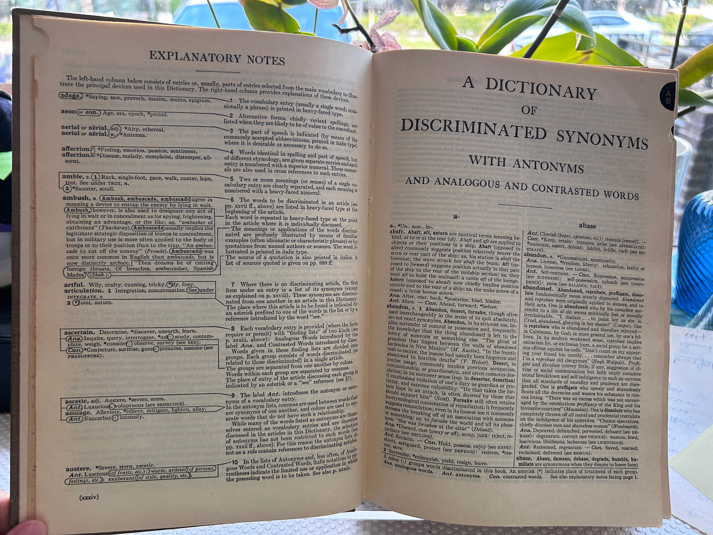 Webster's Dictionary of Synonyms (1951 First Edition) 《韋氏同義詞大詞典》精裝本 1951年首版