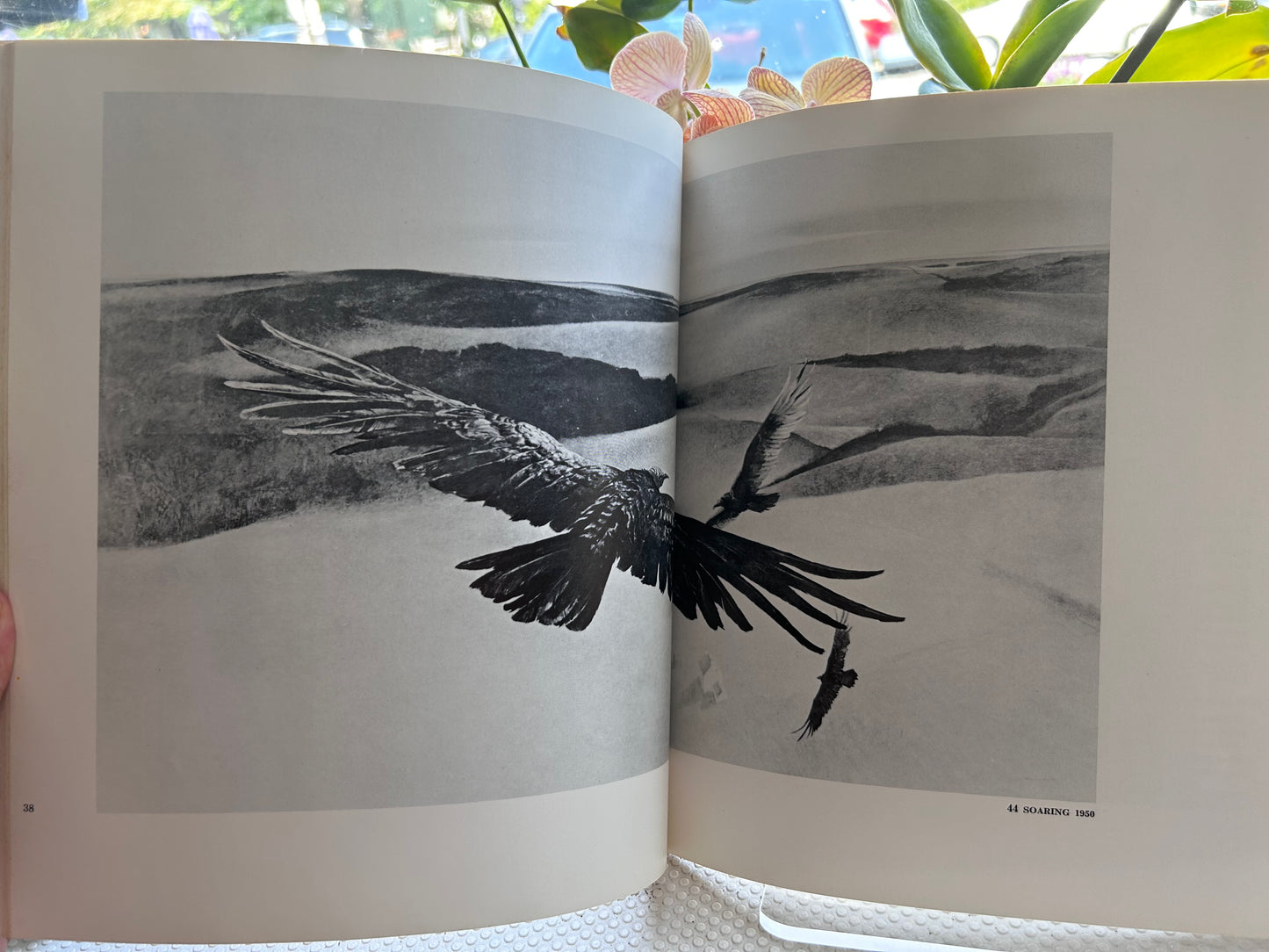 【附1968年珍貴剪報】安德魯·魏斯《Andrew Wyeth》大型回顧展權威畫冊  [Provenance: Dr. Albert Keidel Library w/ Signature & 1968 Andrew Wyeth Archival Newspaper Clipping] Andrew Wyeth Retrospective Exhibition Catalogue