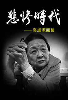 悲惨时代——高耀洁回忆