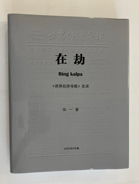 在劫-《世界经济导报》史录