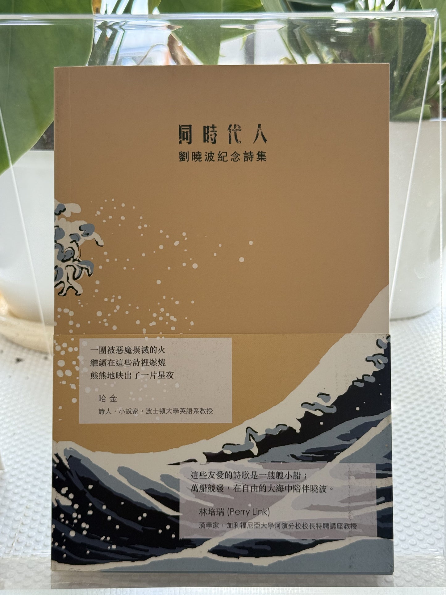 同时代人：刘晓波纪念诗集*
