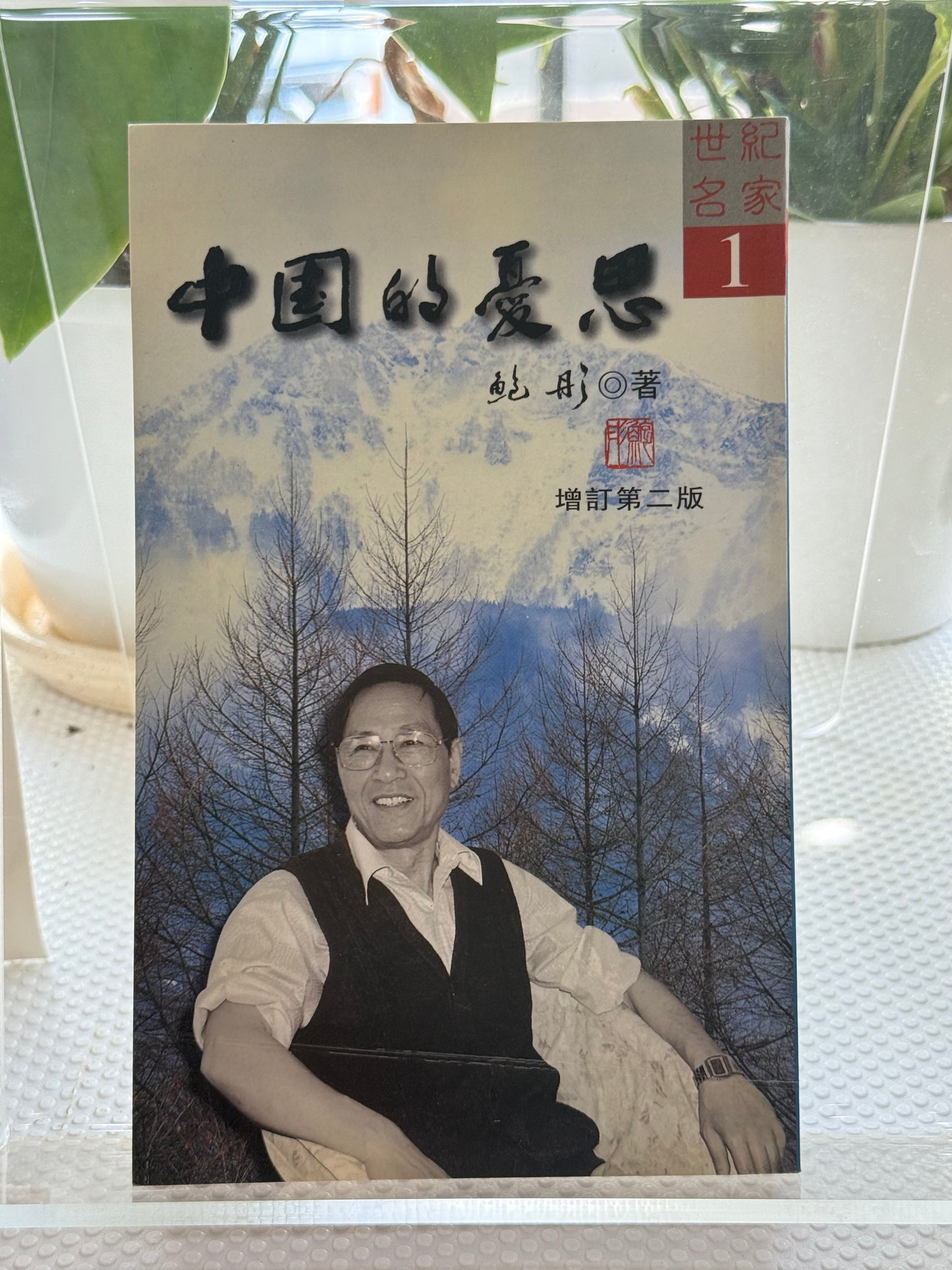 中国的忧思*