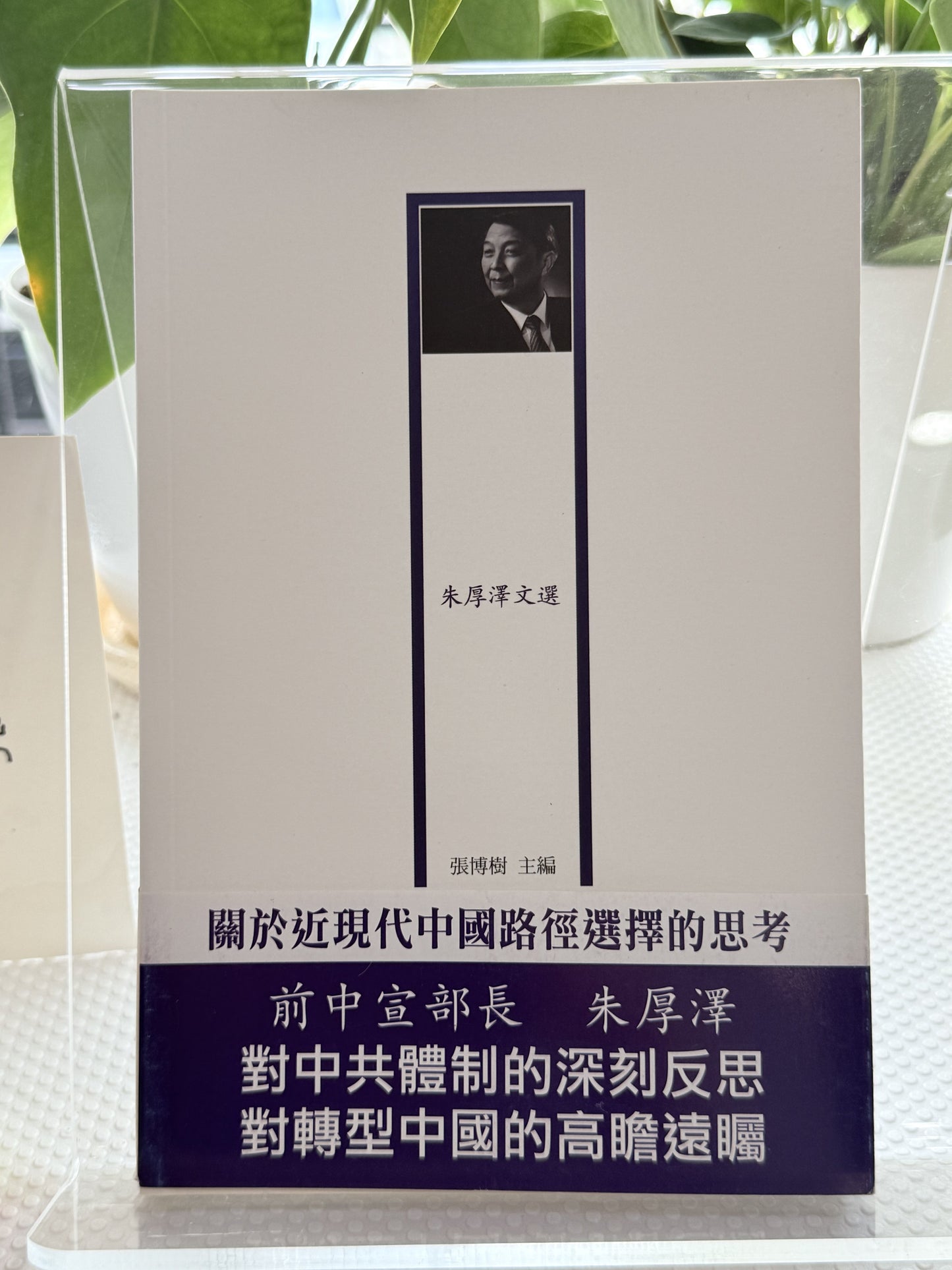 关于近现代中国路径选择的思考：朱厚泽文选*