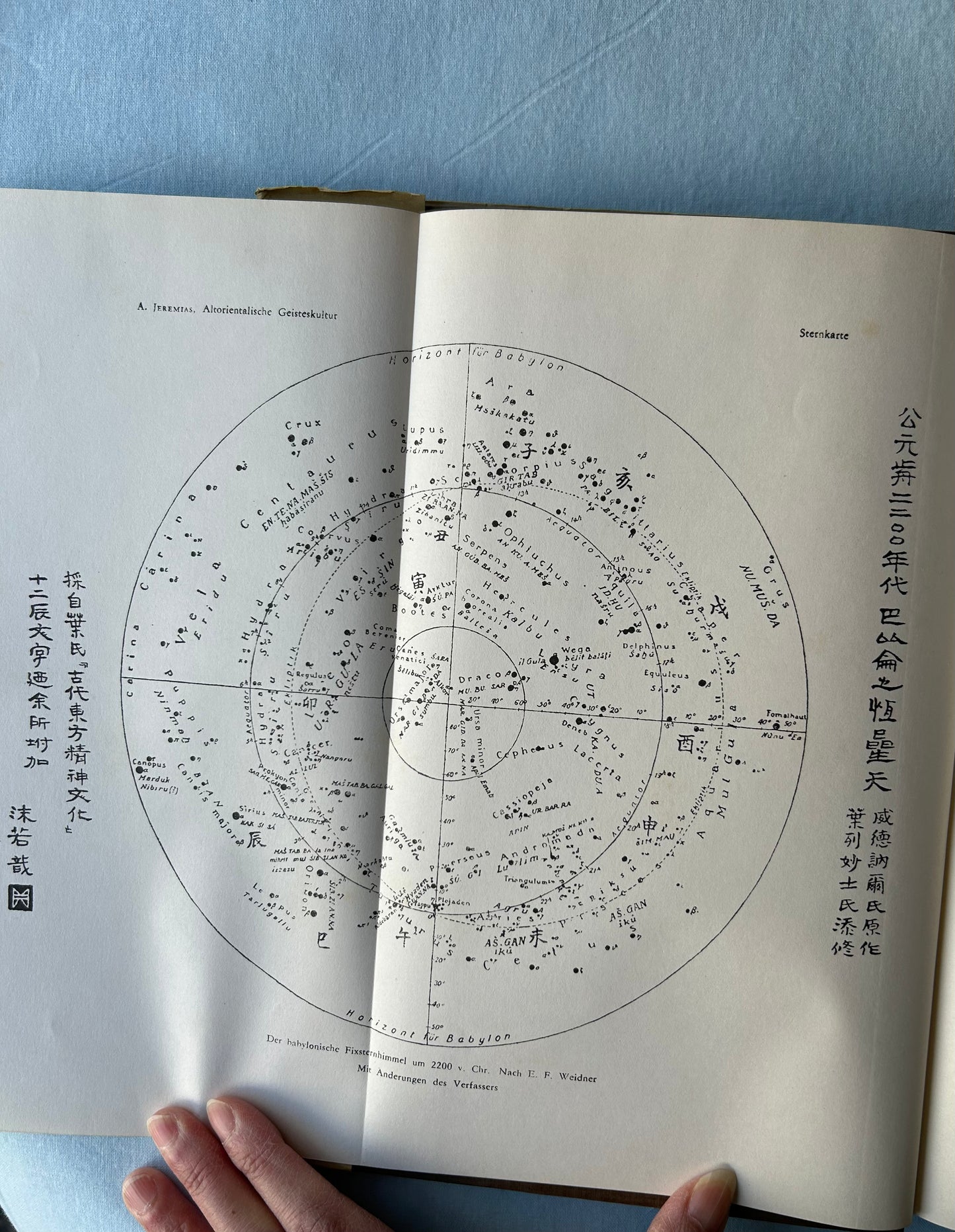 甲骨文字研究