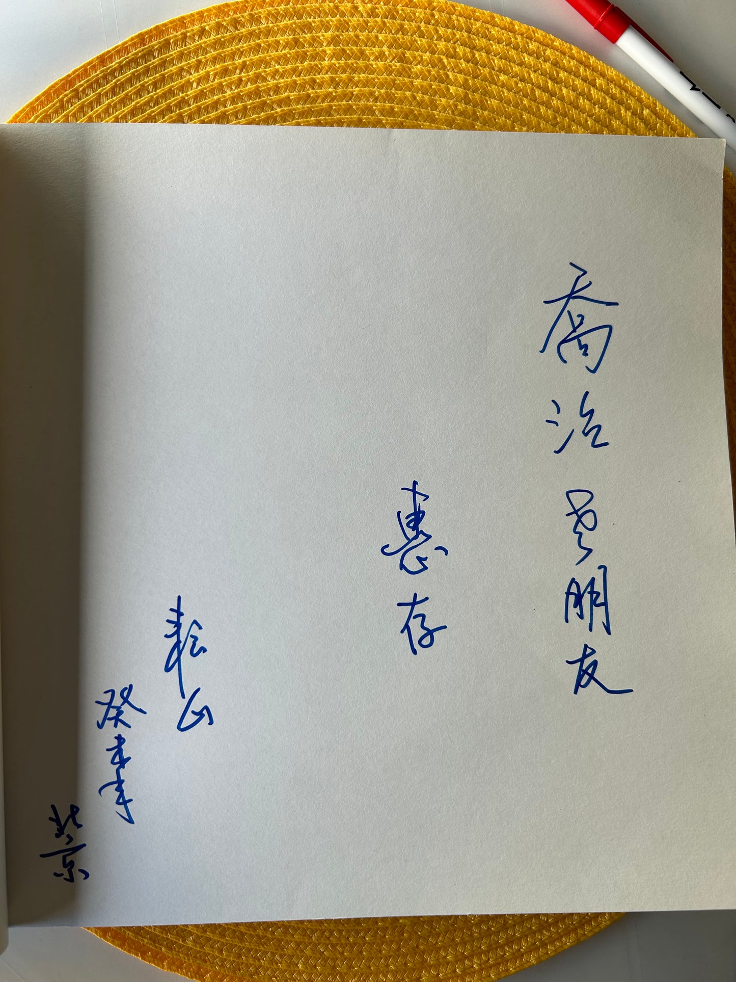 毛澤民 生平事跡畫冊