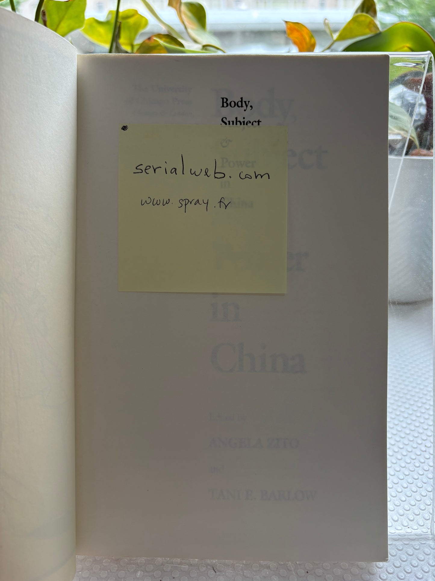 《身体、主体与权力》：清代礼仪中的权力逻辑 — 史大伟外交官私藏