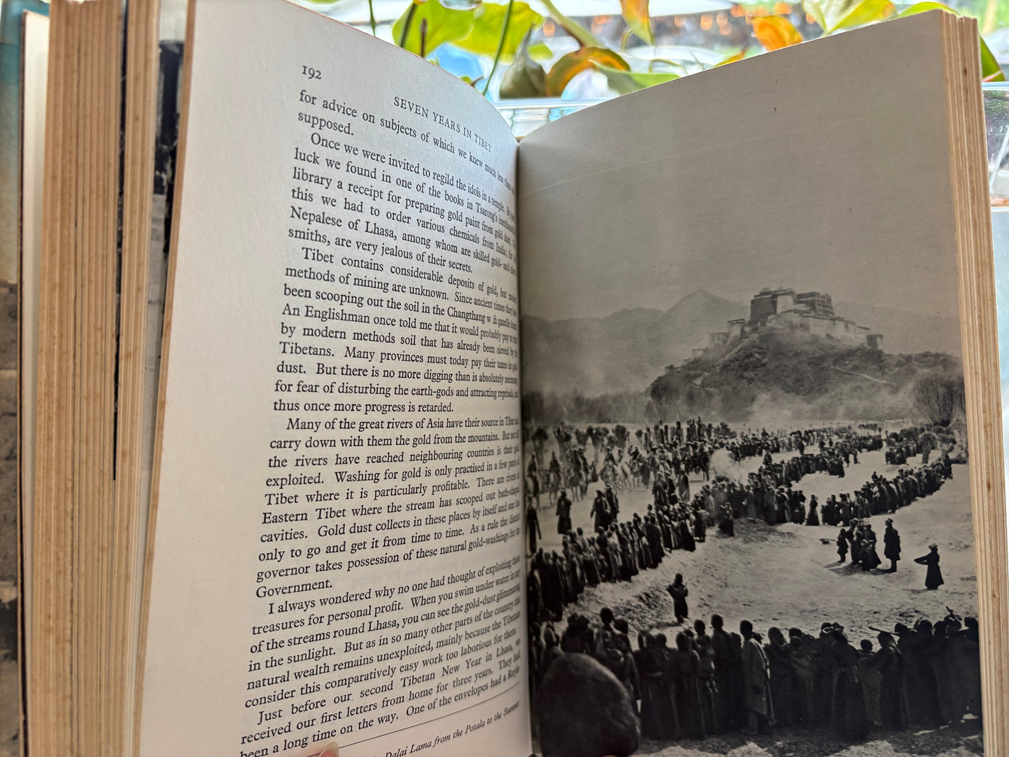 《西藏七年》 作者：海因里希·哈勒 版本：1953年英国首版（二刷），精装附原装书套