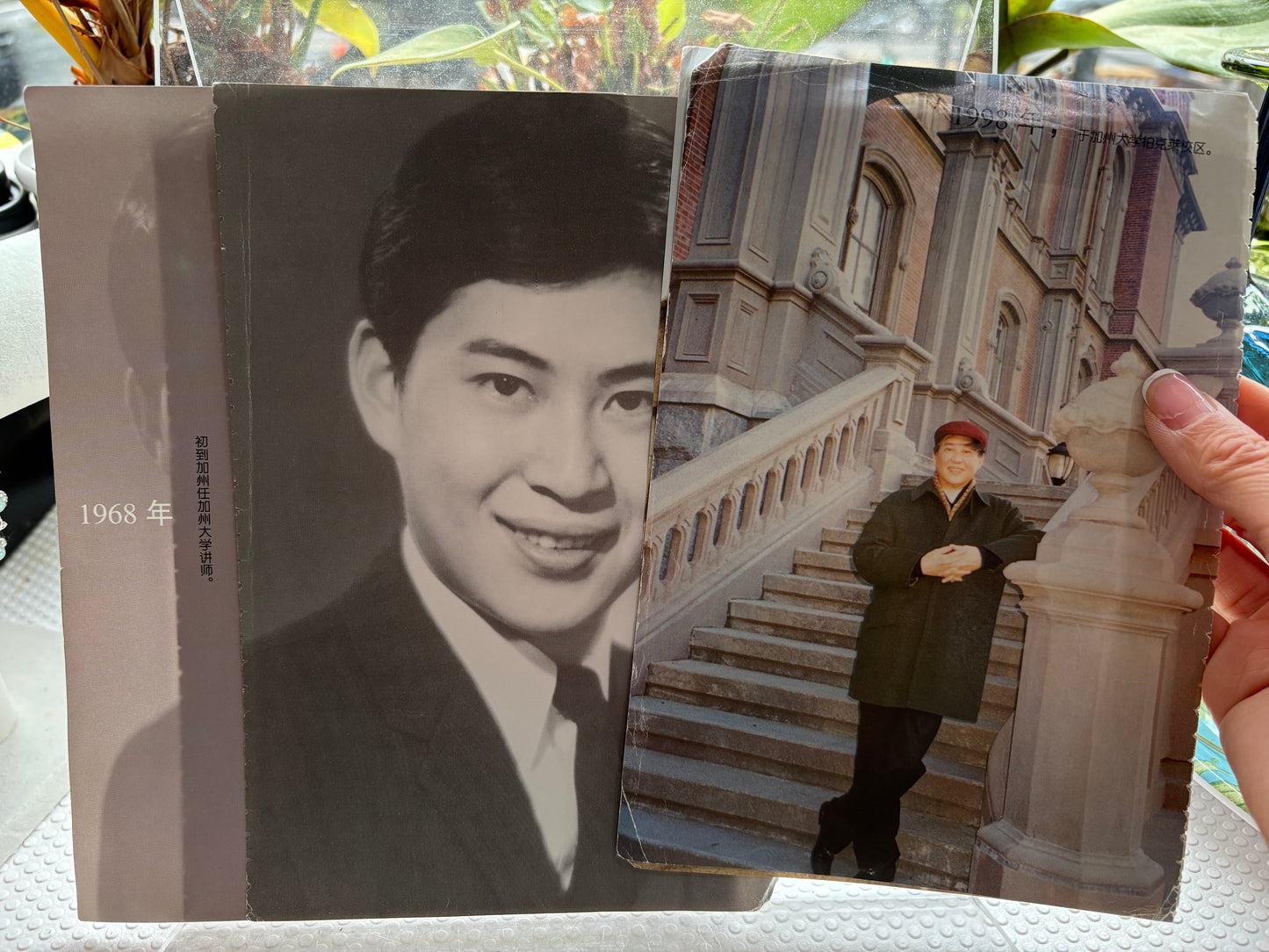 【附中大书签/全插页】《白先勇自选集》1996年首版一刷（名校学者私藏）