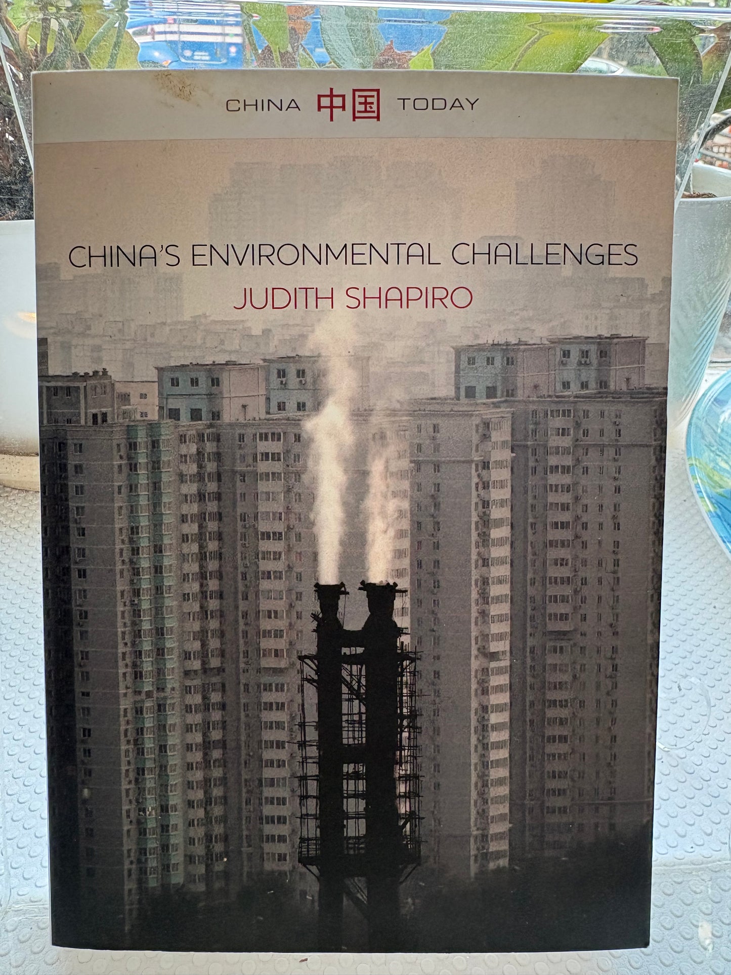 China’s Environmental Challenges (2012) —— Author Judith Shapiro’s Hand-Inscribed Presentation Copy to Steve & Imoi 2012年首版《中国的环境挑战》：作者题赠史大伟及 Imoi 特藏