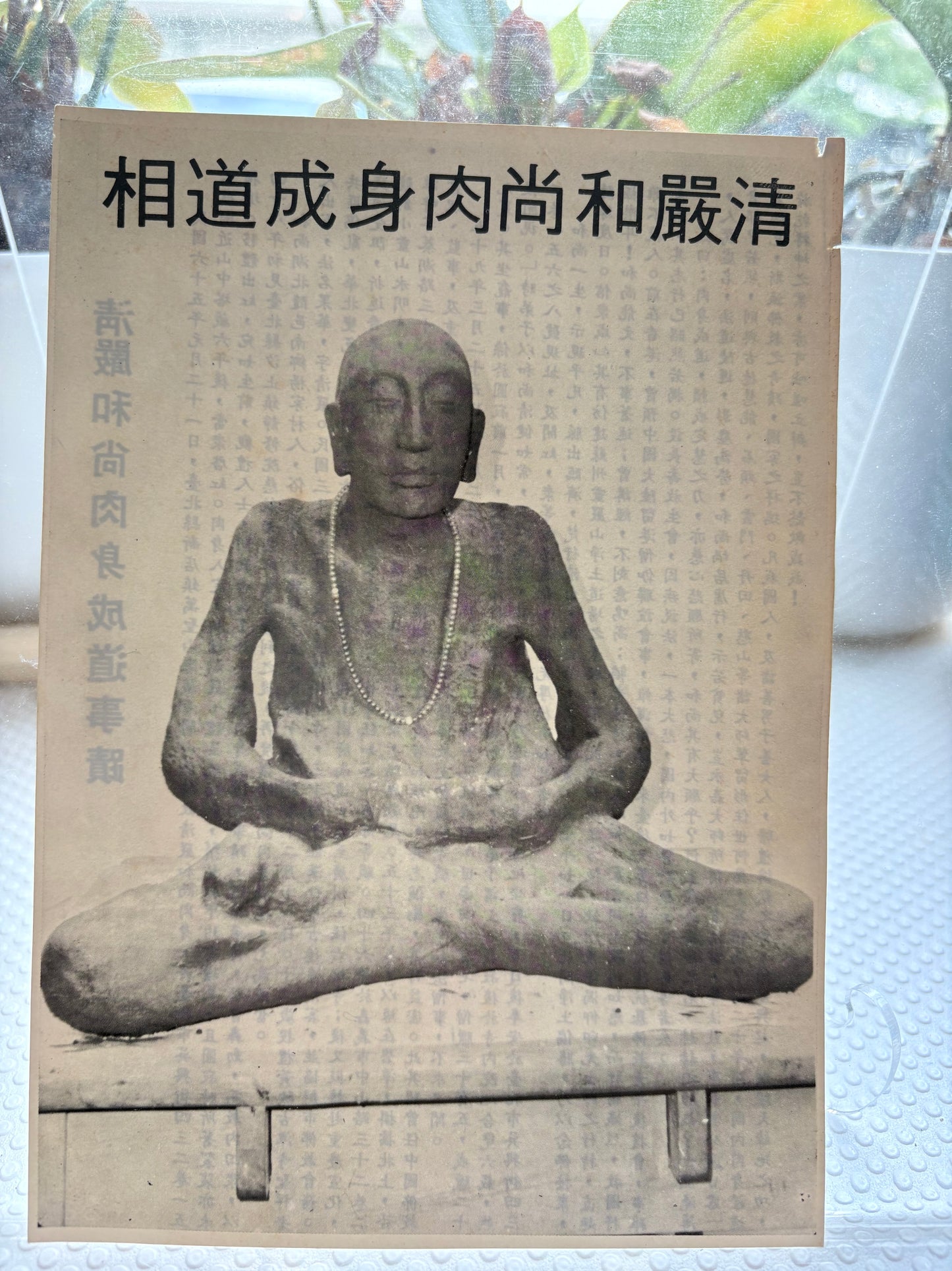 1900-1950中國佛教的實踐-1973年哈佛二版 附1976 台灣清嚴法師肉身成道罕見剪報 The Practice of Chinese Buddhism 1900-1950 by Holmes Welch (Harvard, 1973 PB) – Inscribed by Watkins (1976) w/ Rare Taiwan "Mummified Bodhisattva" Archival Ephemera
