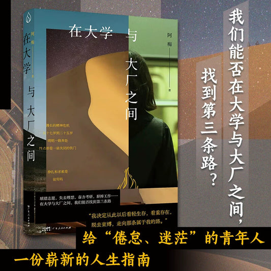 在大学与大厂之间