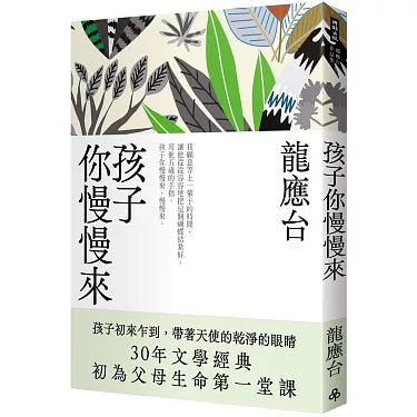 龙应台作品: 孩子你慢慢来