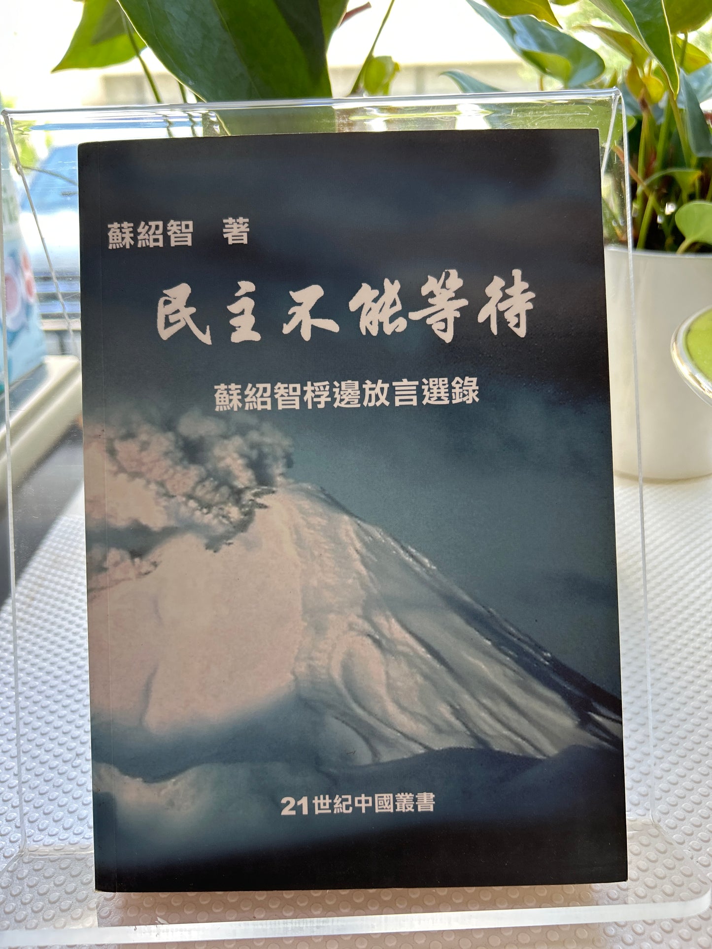 民主不能等待