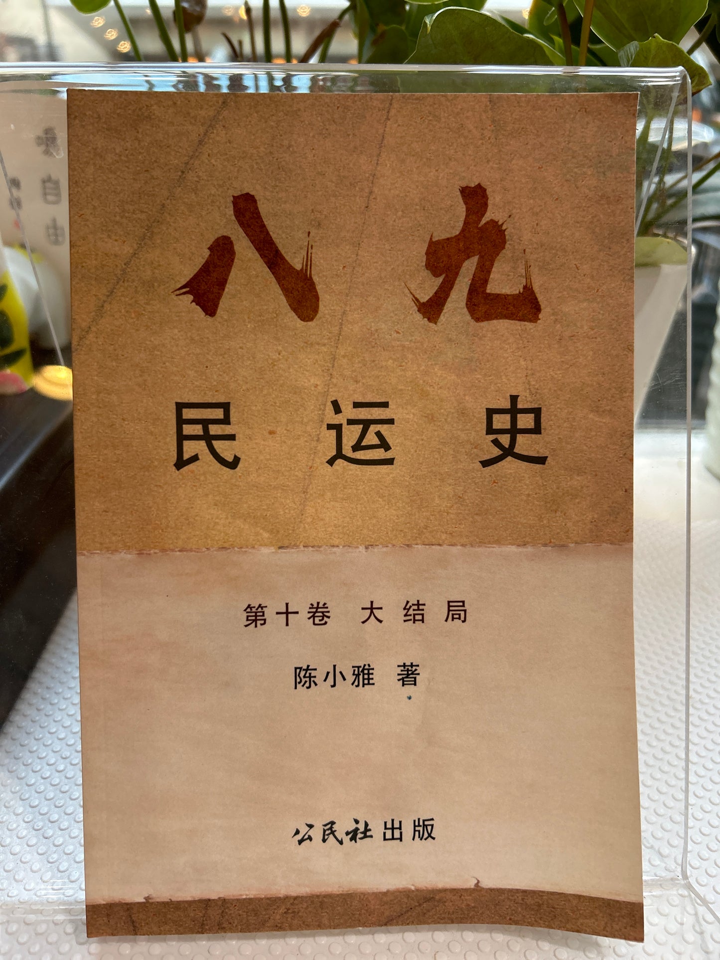 八九民運史十冊原價300