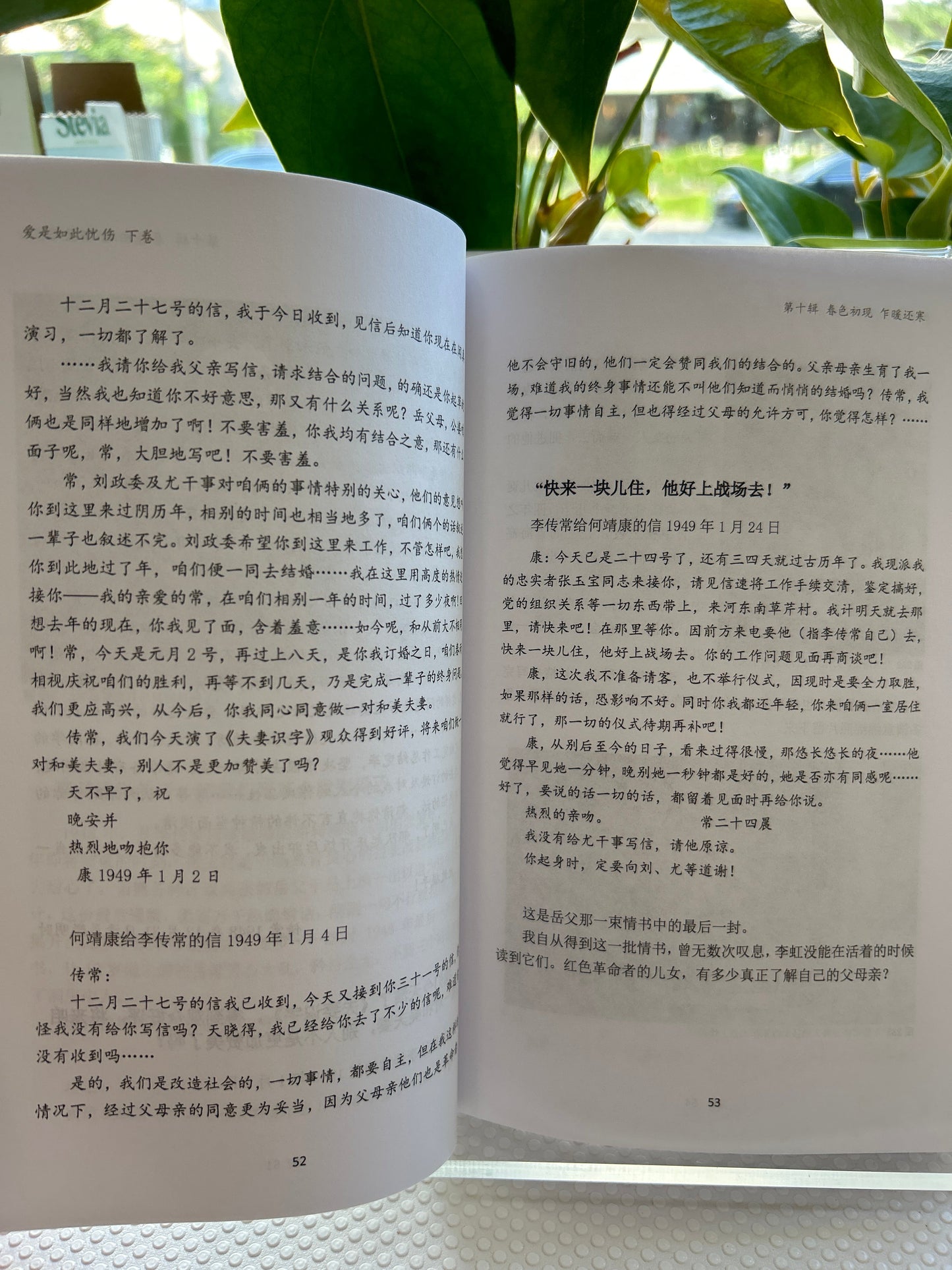 爱是如此忧伤 (下卷)