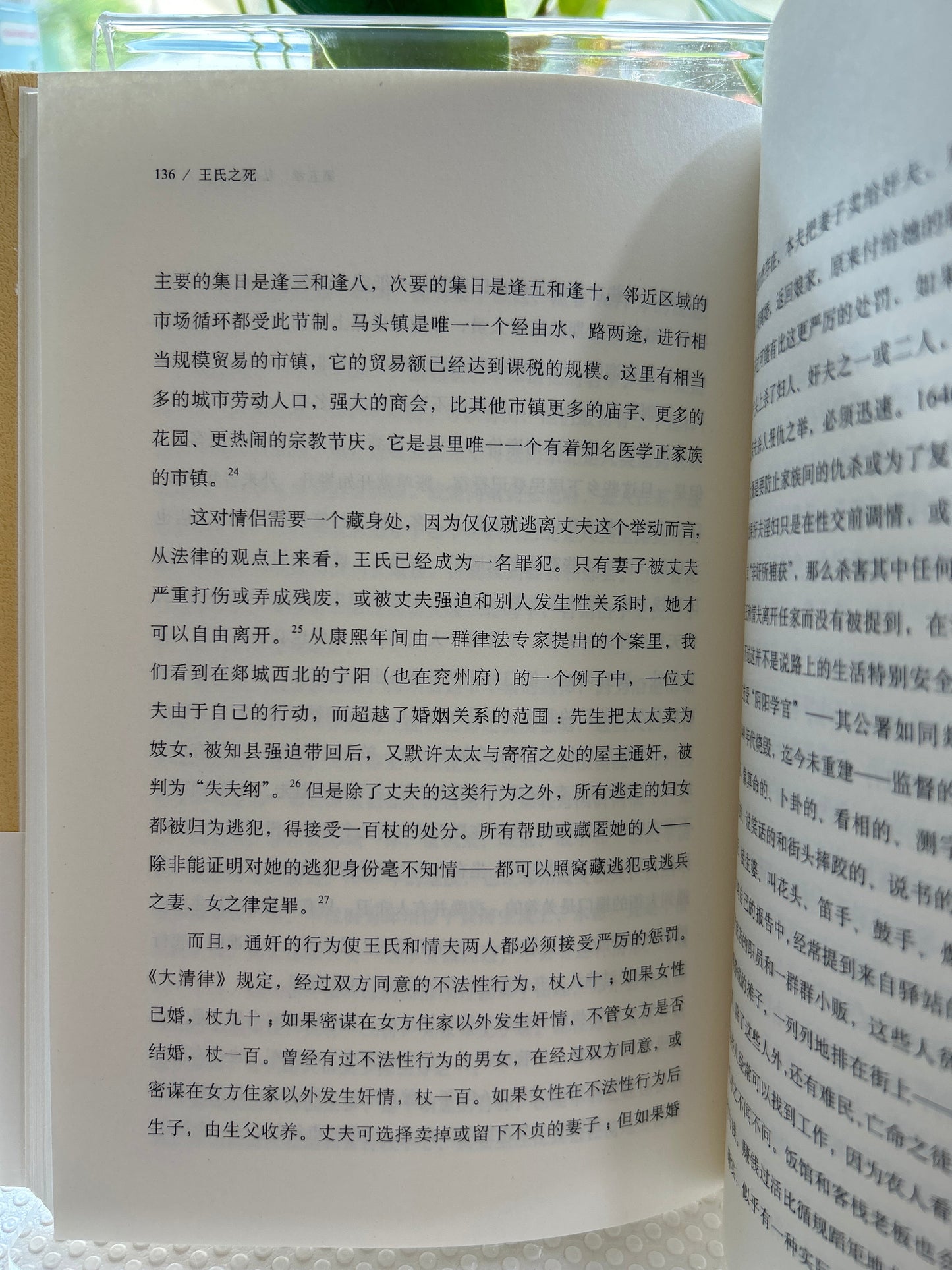 史景迁作品.王氏之死: 大历史背后的小人物命运
