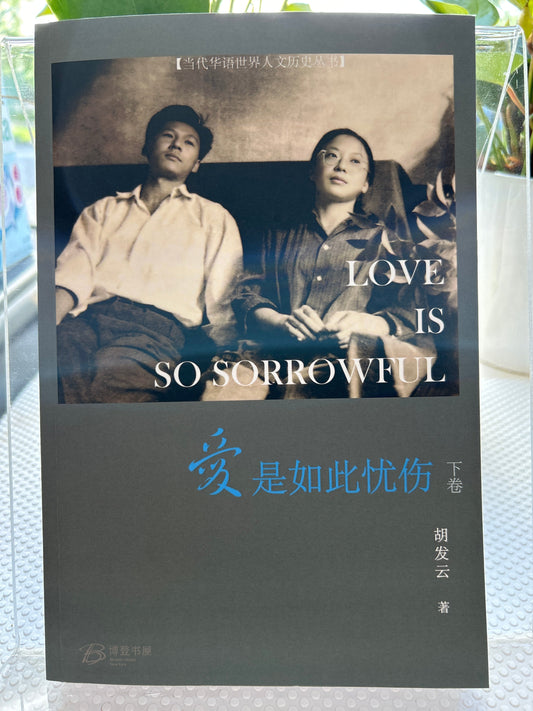 爱是如此忧伤 (下卷)
