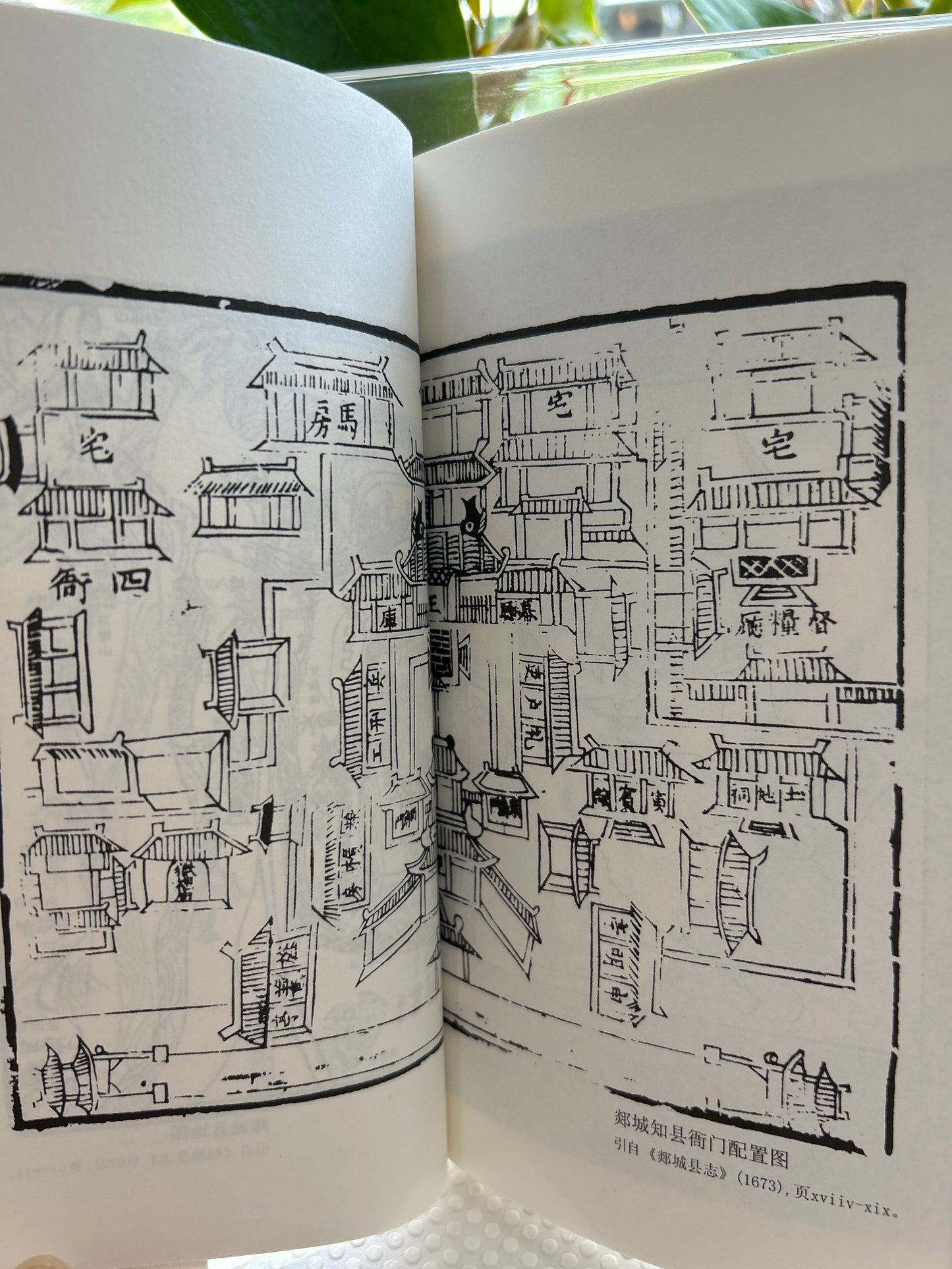 史景迁作品.王氏之死: 大历史背后的小人物命运