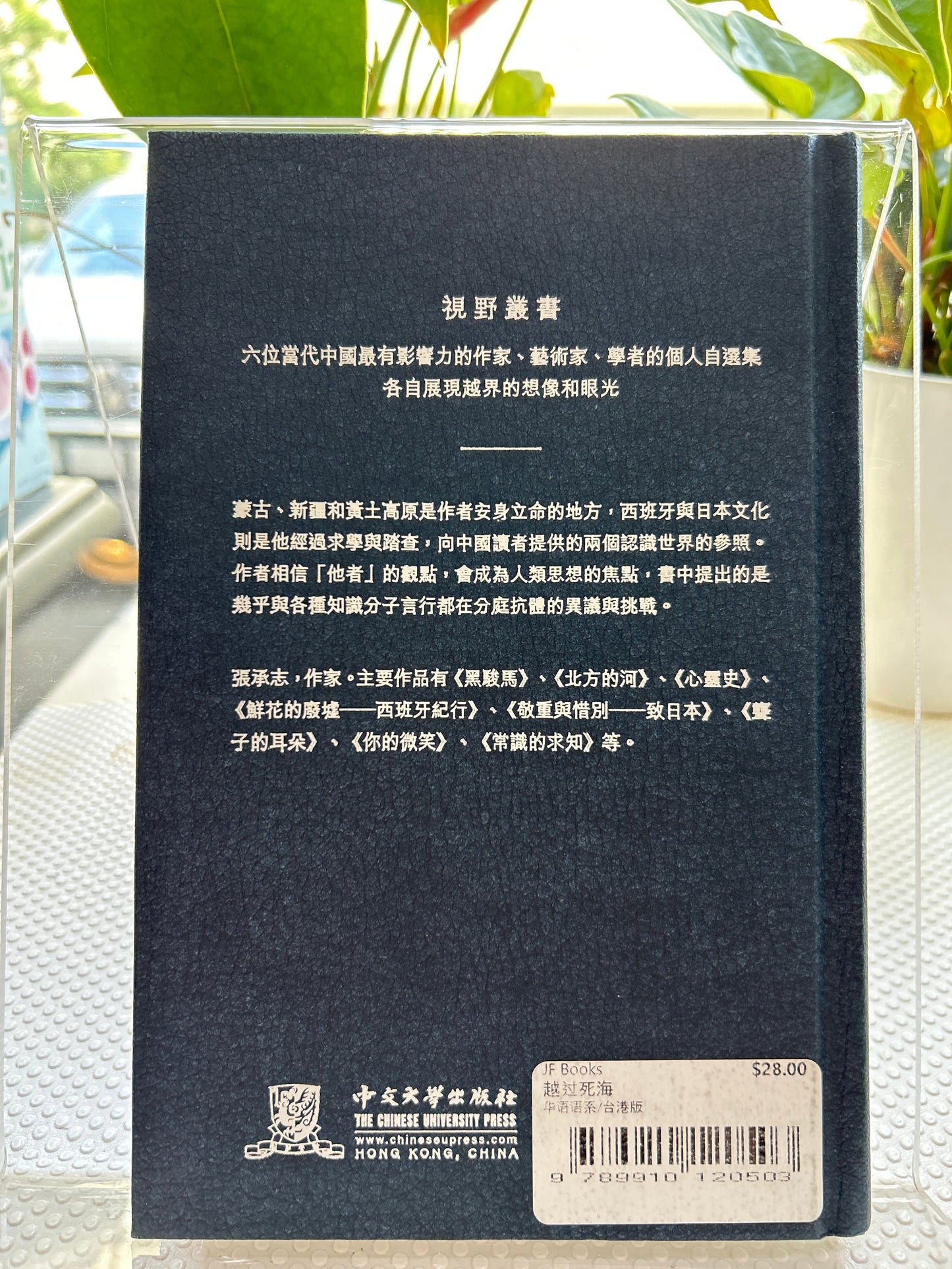 越过死海