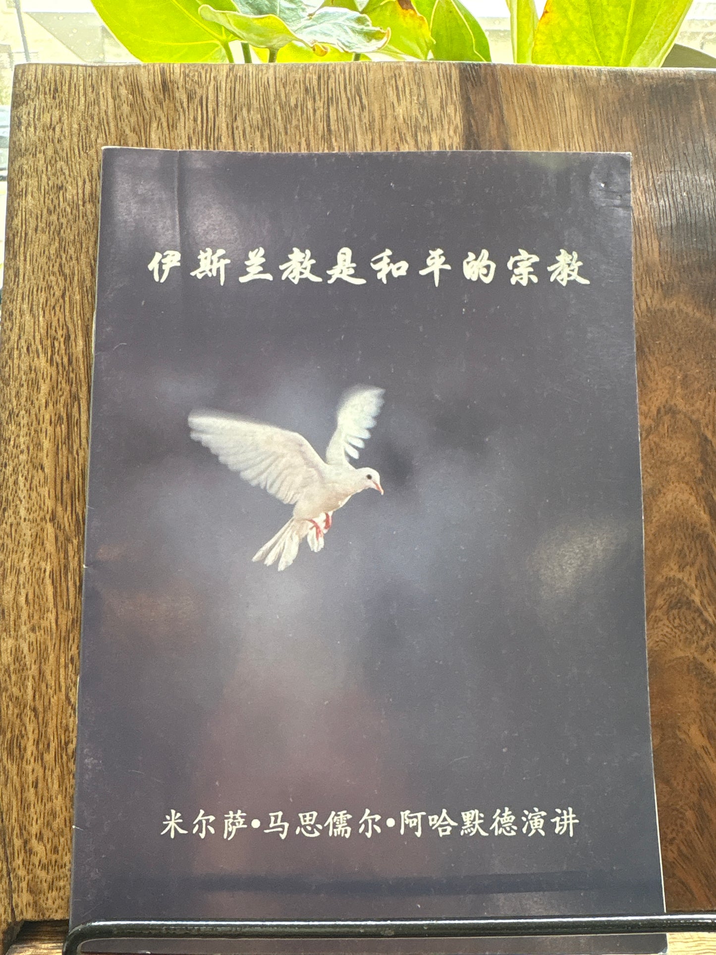 伊斯兰教是和平的宗教