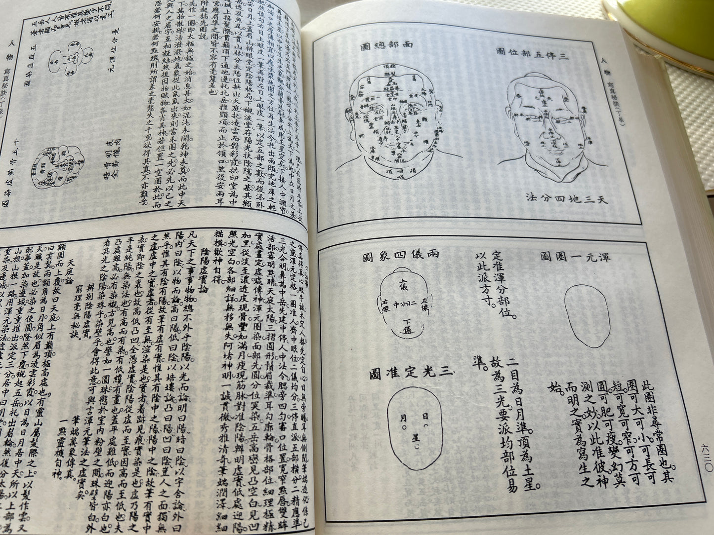 芥子園畫傳 全本