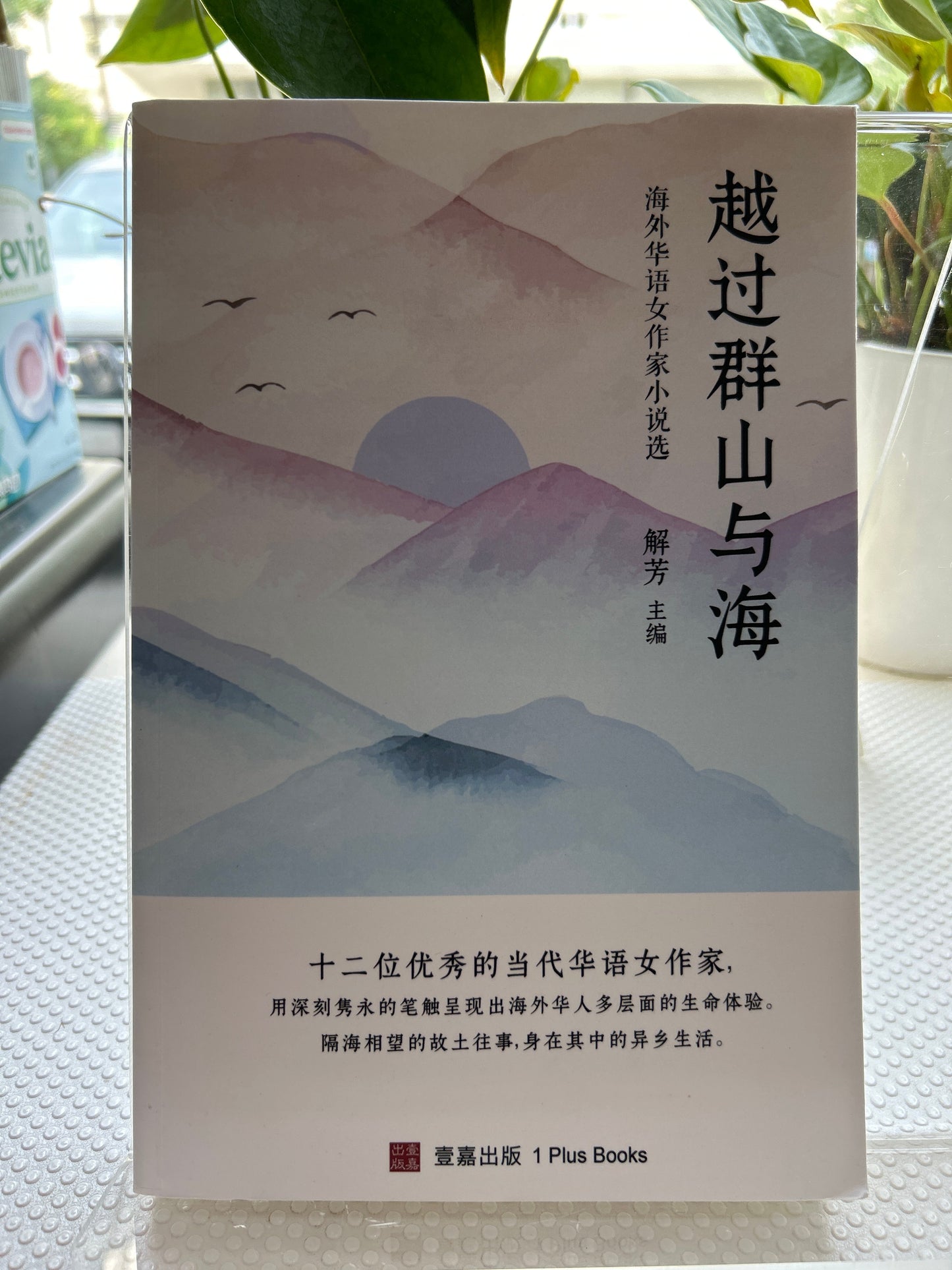 越过群山与海: 海外华语女作家小说选