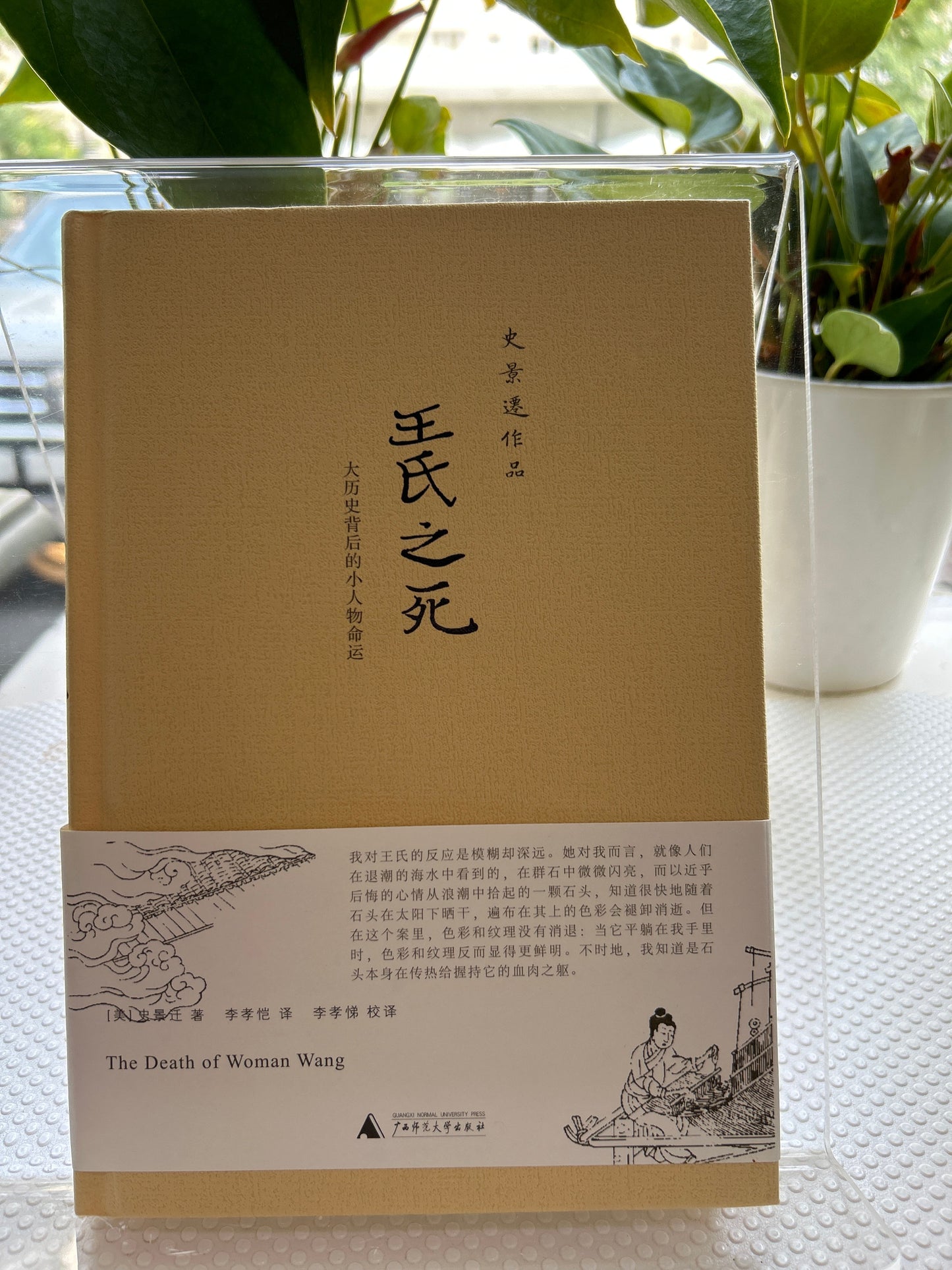 史景迁作品.王氏之死: 大历史背后的小人物命运