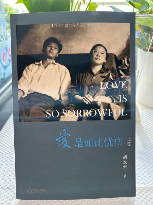 爱是如此忧伤 (上卷)