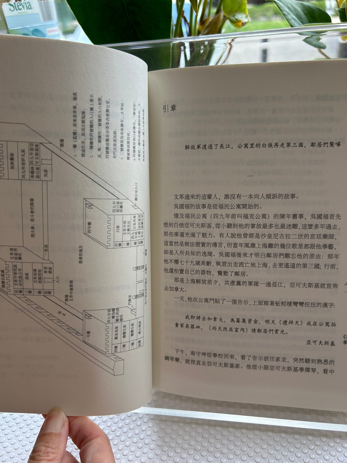 福民公寓: 长篇文革小说简体字版