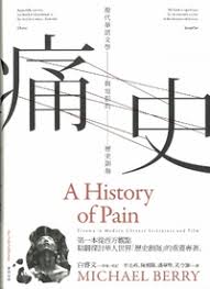 痛史: 现代华语文学与电影的历史创伤(新版)