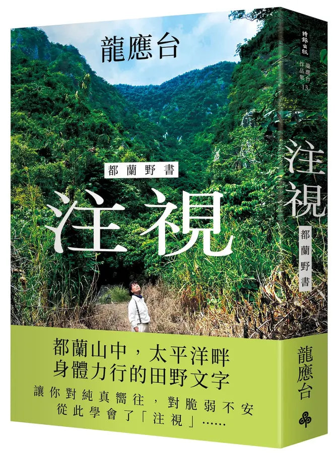 龙应台作品: 注视-都兰野书